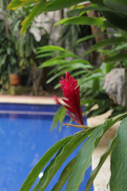 ホテル Casa Del Tejadillo Cartagena エクステリア 写真