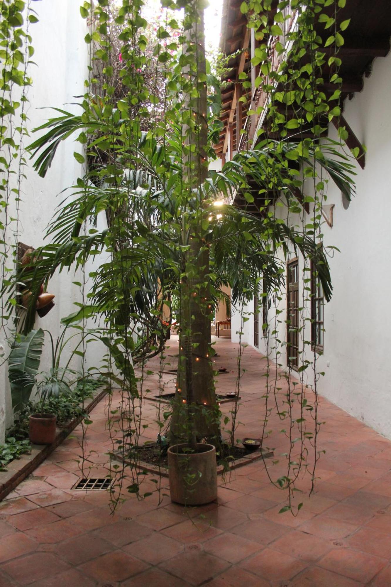 ホテル Casa Del Tejadillo Cartagena エクステリア 写真